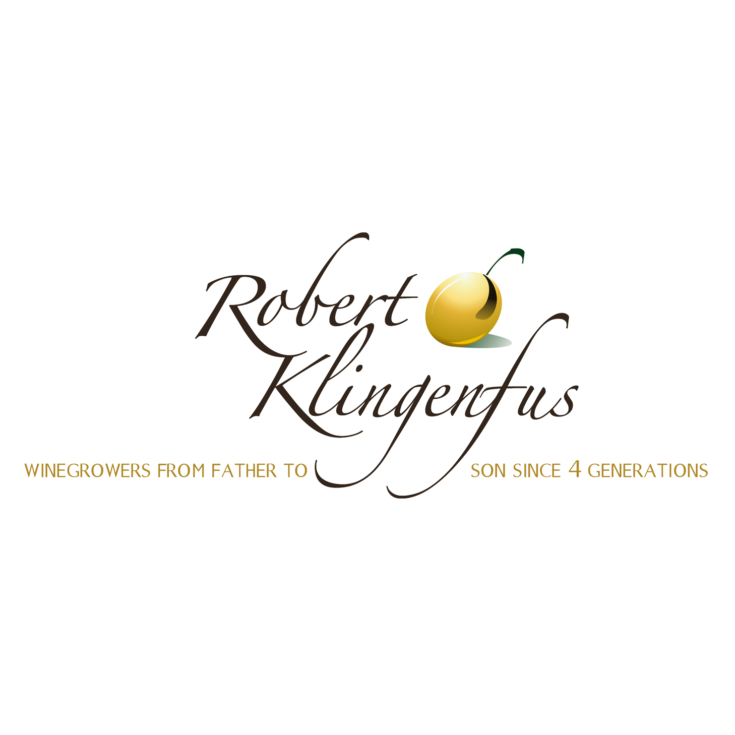 robert-klingenfus-logo