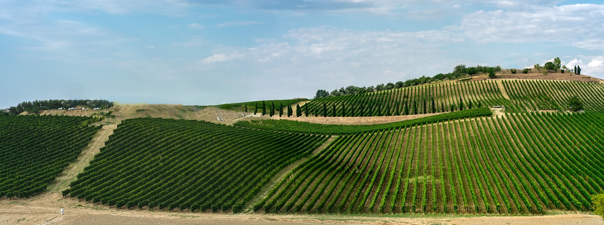 italie-abruzzo-vino