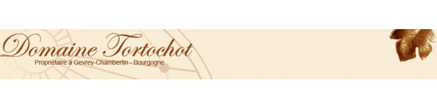 logo-domaine-tortochot