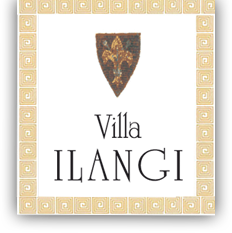 logo_villa-ilangi