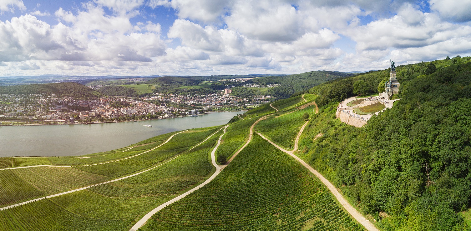 nemecko-rheingau-vino