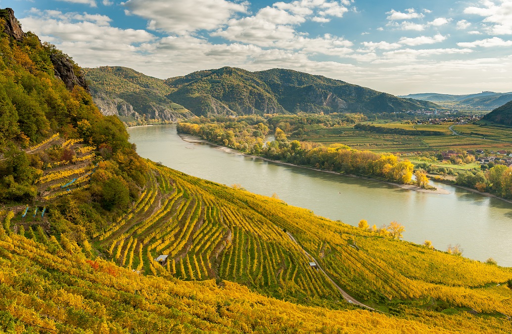 rakousko-wachau-vino